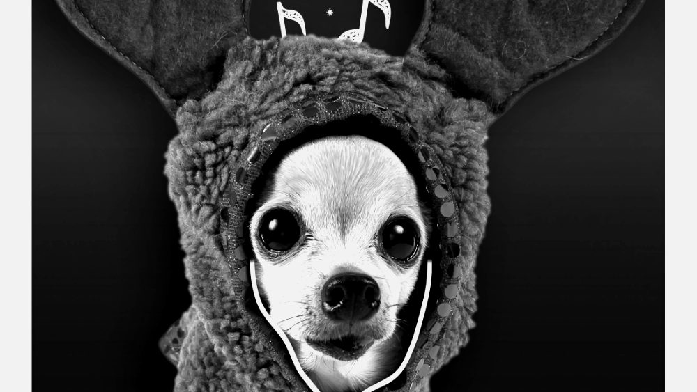 Project cover for Blinkbox Music (Tesco PLC) Xmas '14