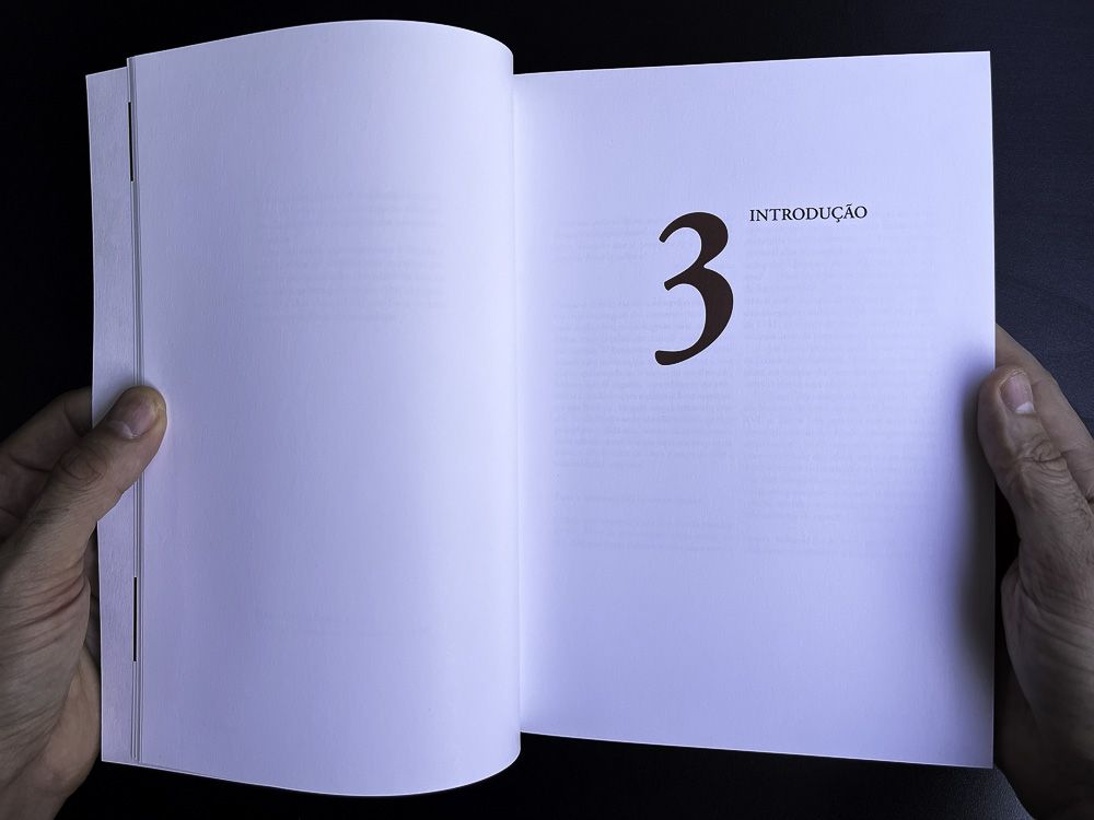 Image of Insive view 6 of Catálogo de Livro Antigo IPP SDP-BC Spine. This is an image related to a project inside Pedro Rodrigues (Treze413) graphic design portfolio.